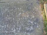 image of grave number 947419